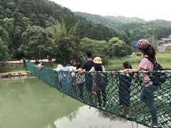 -洪崖丹井