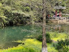 -马峦山郊野公园