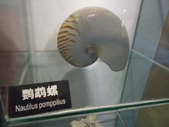 -泉城欧乐堡海洋极地世界