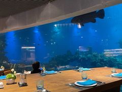 -海棠湾洲际-涛·海底餐厅·美人鱼·自助餐·海底隧道