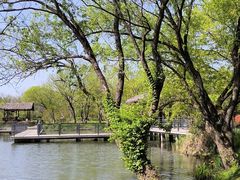 -西溪国家湿地公园