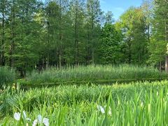 -上海共青森林公园