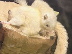 -太平洋海底世界