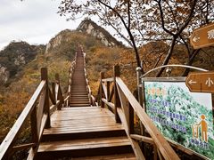 -大岭沟猕猴桃谷风景区