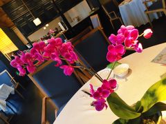 -粤秀餐厅(国货店)