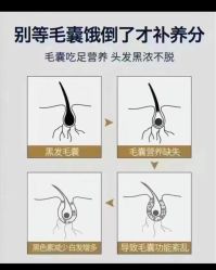 -木北造型