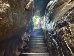 -鲁山国家森林公园