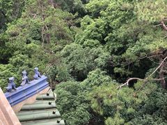 -灵谷景区