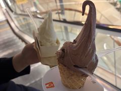 -野人先生现做冰淇淋(北京环宇荟店)