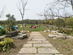 -上海海湾国家森林公园