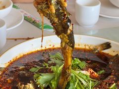 红汤黄辣丁-稻香村鱼庄