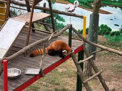 -西霞口神雕山野生动物世界