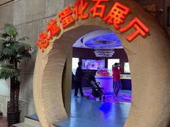 -诸城市恐龙博物馆