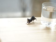 -Onirii Coffee(长乐路店)