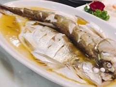 清蒸白鱼-拱北楼(皇亭广场店)