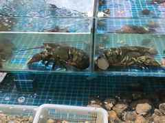 -和源祥·日照菜扛把子(万平口一店)