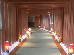 -重庆南山海昌汤都
