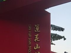 -莲花山公园