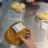 快50出肉率的榴莲被我遇到了