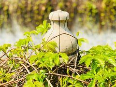 -斯多格书乡(北京大学畅春园店)