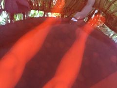-嘉和K6温泉微度假