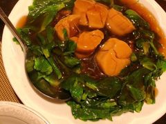 -金燕岛潮州酒楼