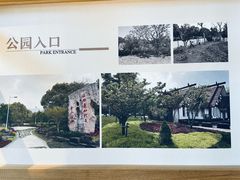 -惠山国家森林公园