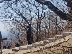 -沈阳辉山风景区