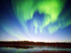 -麒麟海鲜酒家(Richmond)