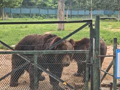 -秦皇岛野生动物园