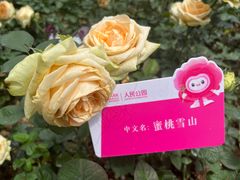 -人民公园(罗湖区)