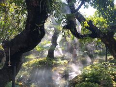 -Chom Cafe and Restaurant