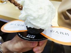 -野人先生现做冰淇淋(西安赛格店)