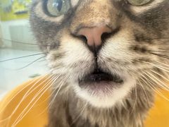 -平行世界·猫咖(首经贸店)