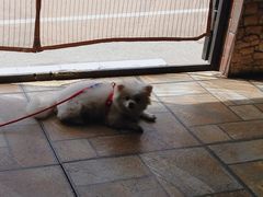 -韩流热风(桥东街店)
