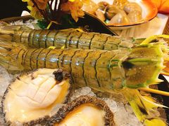 -鲜入围煮花胶鸡海鲜火锅