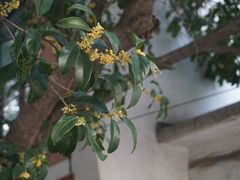 -浙江大学(玉泉校区)
