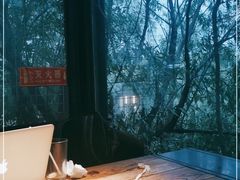 -D STAR COFFEE帝星咖啡