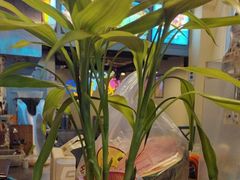 -滋味烤鱼(马北店)
