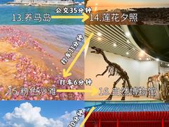 -养马岛旅游度假区