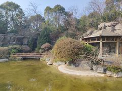-上海吴淞炮台湾国家湿地公园