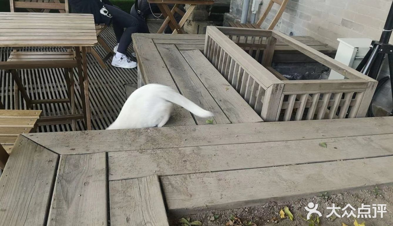 “春风不识字，何故乱翻书？”