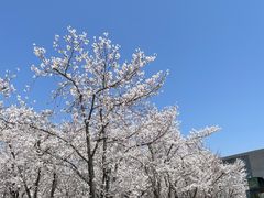 -龙美术馆(西岸馆)