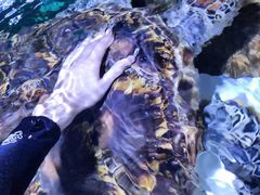 -西安曲江海洋极地公园