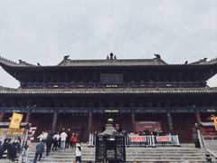 -大槐树寻根祭祖园