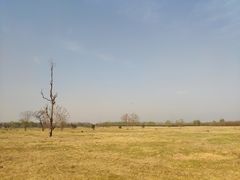 -汉长安城未央宫国家考古遗址公园