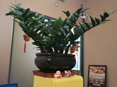 -万达广场(松江店)