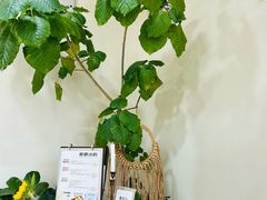 -AHAVA·Fang Baking Studio