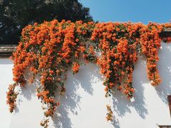 -文儒九号·闽菜馆(三坊七巷店)