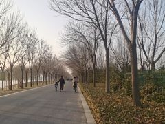 -象湖生态湿地公园